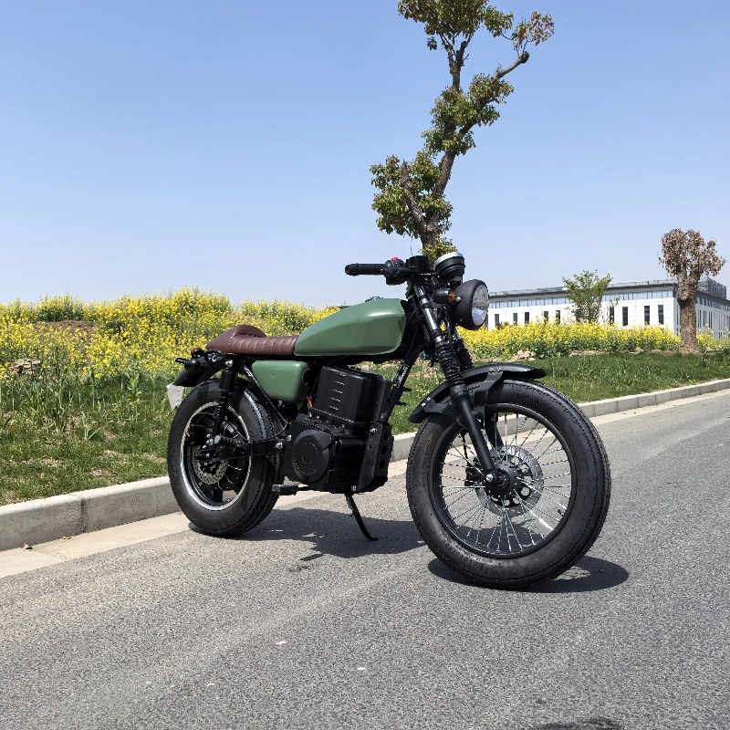 Krono Wild Chinese Prices Big  - đánh giá và giá Motorcycle Chain